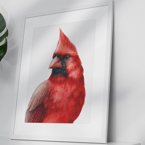 Cardinal Bird Watercolor Wall Art Print Poster Illustration Unframed - Picture 4 of 8